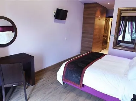 Montagna 3*